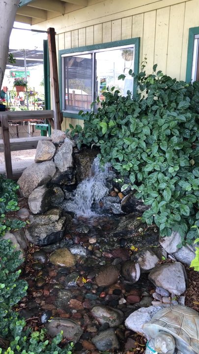Bob Williams Nursery - Nurseries & Gardening Near Me - Indio, California