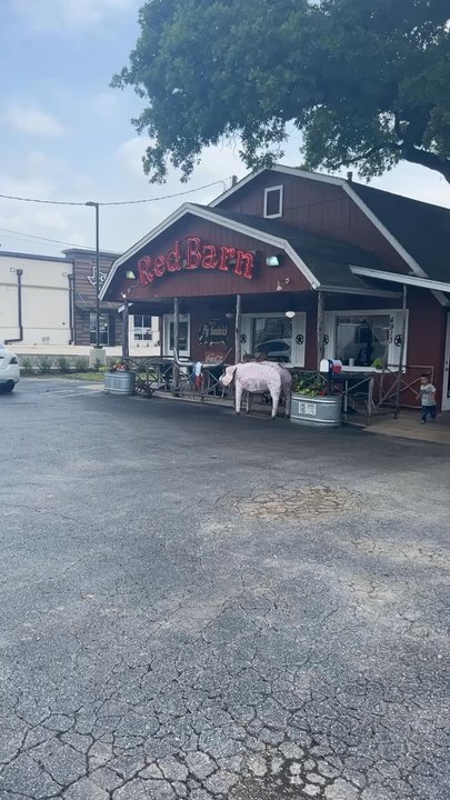 Red Barn Bar-B-Que - Barbeque Near Me - Colleyville, Texas