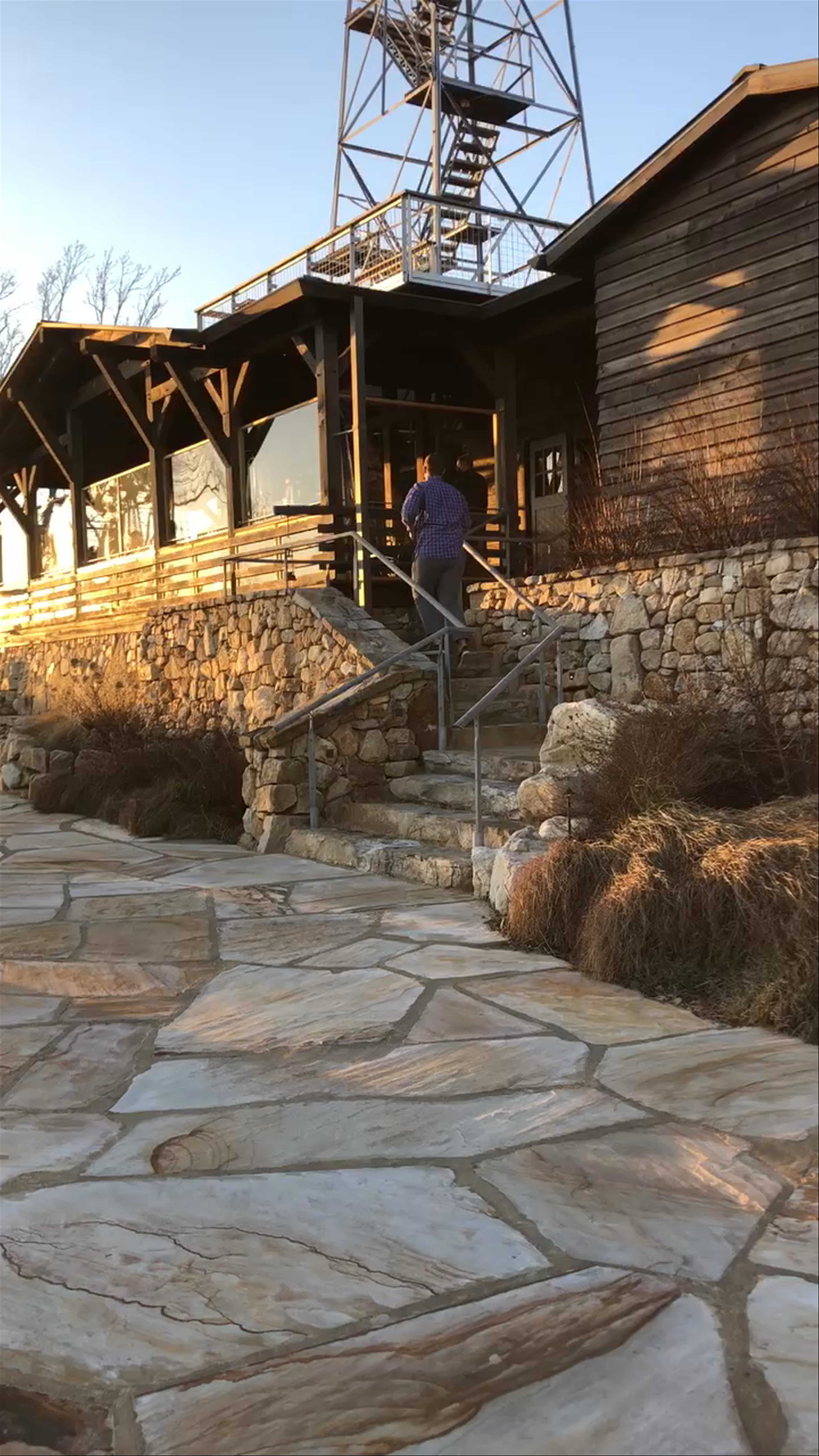 Chestnut Oak- Blackberry Mountain