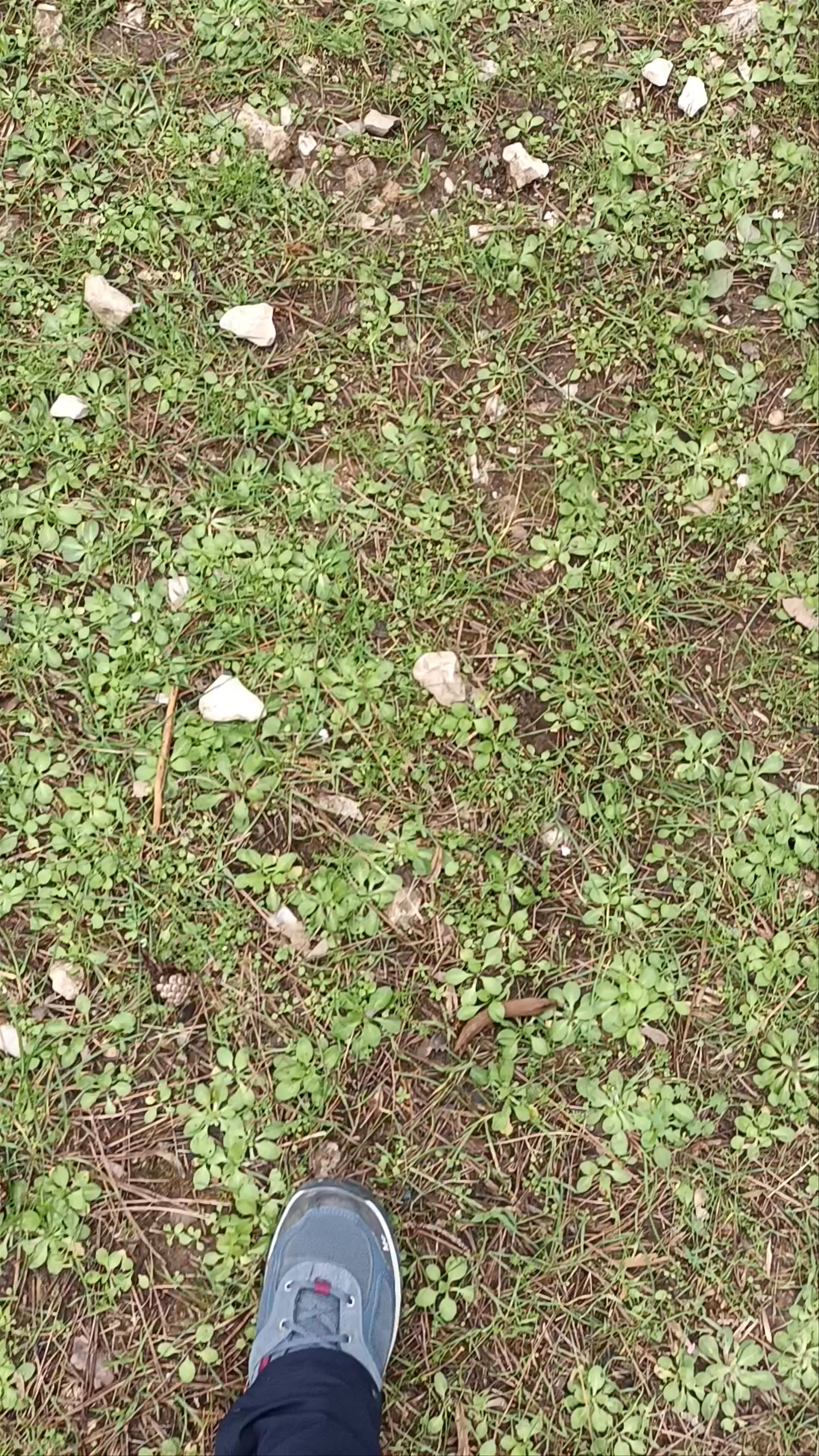 Nacimiento del Río Mundo