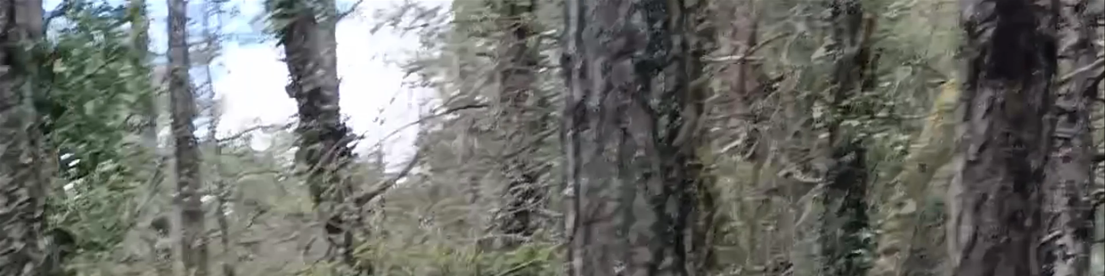 Nacimiento del Río Mundo
