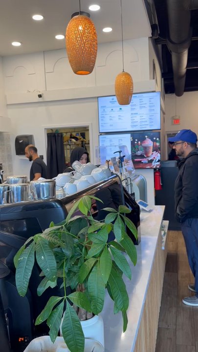 Qamaria Coffee - Bakeries Near Me - Hilliard, Ohio