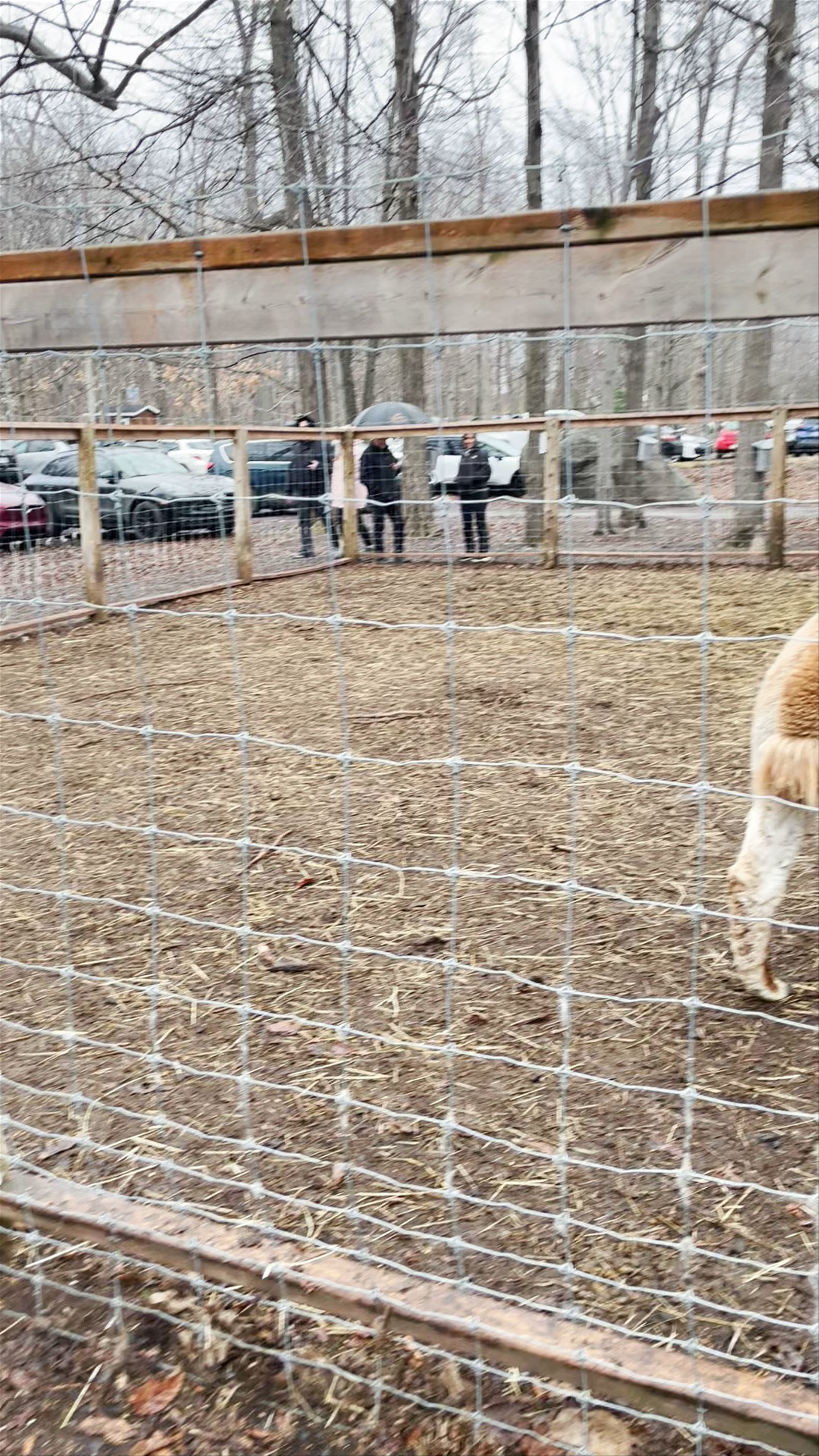 Erablière Charbonneau