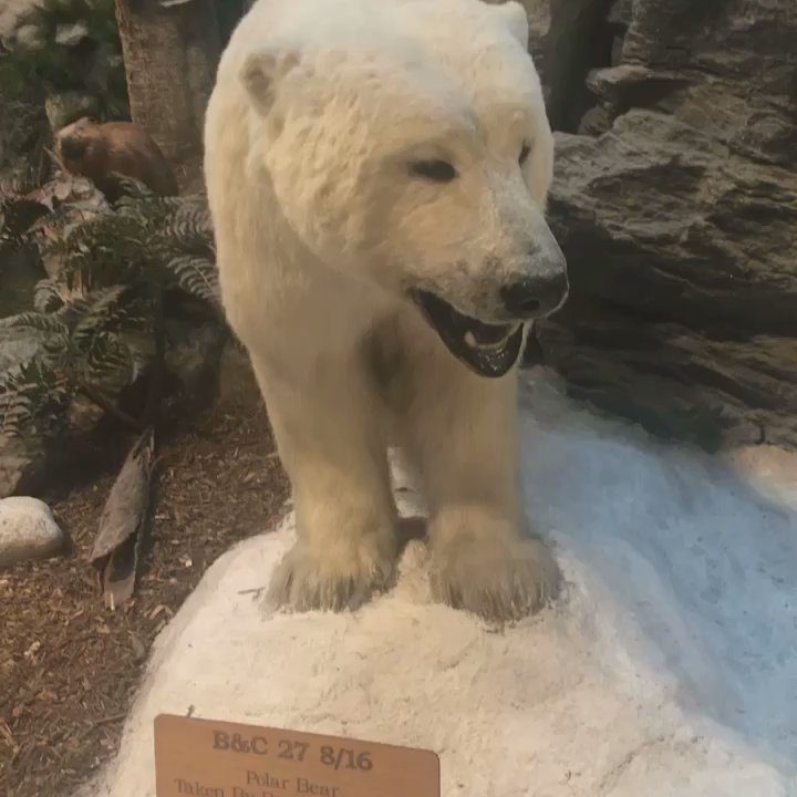 Cabela's - Outdoor Gear Near Me - Scarborough, Maine