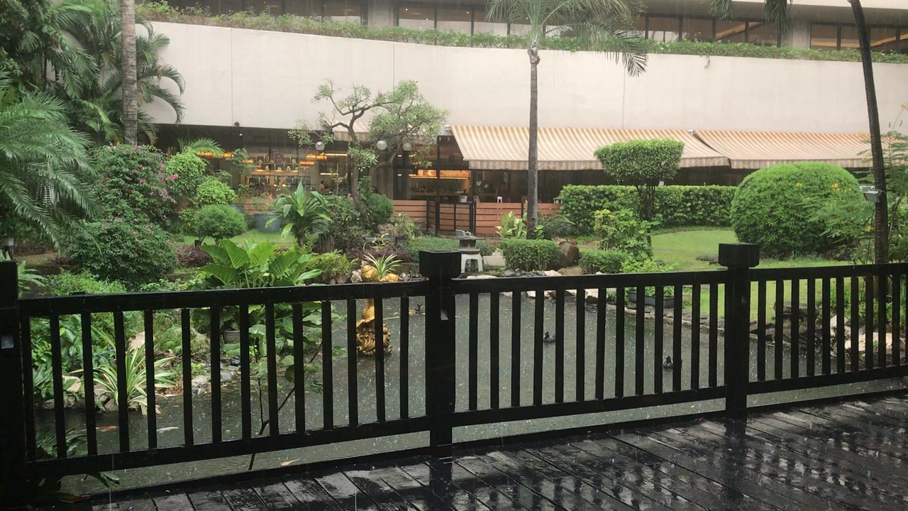 Umu - It's raining for lunch today. So gorgeous with the koi pond. - Japanese Near Me - Makati, NCR