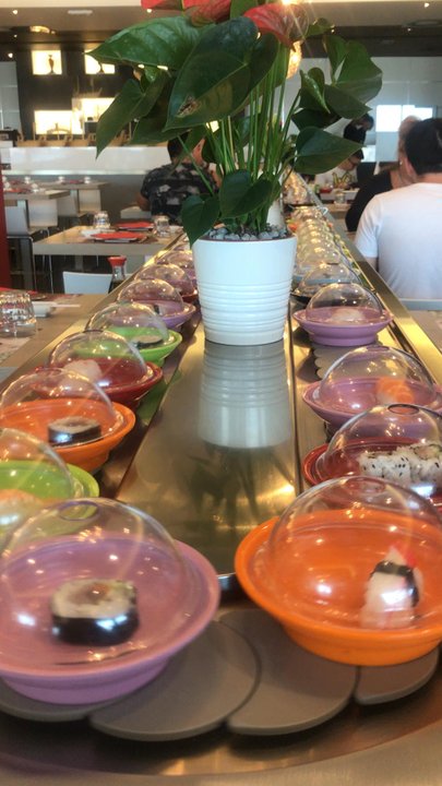 Sushi-One - Sushi go round - Sushi Bars Near Me - Torri di Quartesolo VI, Virgin Islands