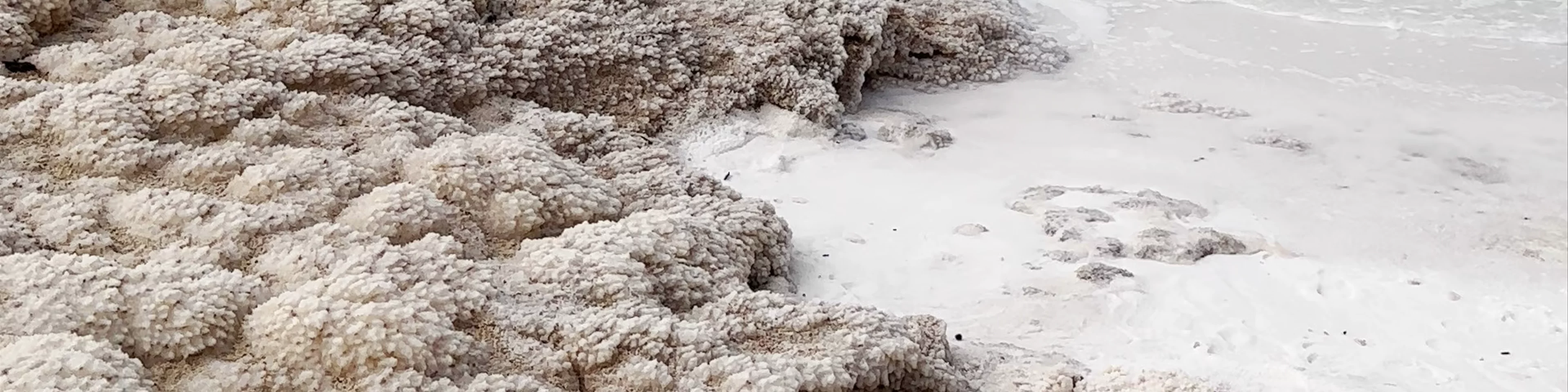 Dead Sea