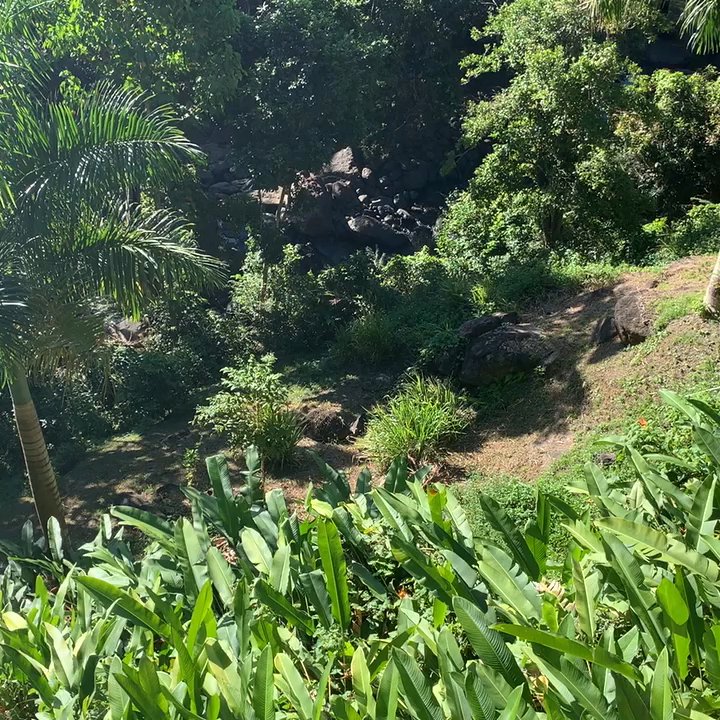 Yuquiyú - Vacation Rentals Near Me - Río Grande, Puerto Rico