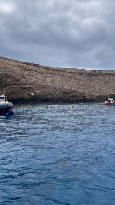 Aloha Blue Charters - Updated June 2026 - 80 Photos & 97 Reviews - 37 ...