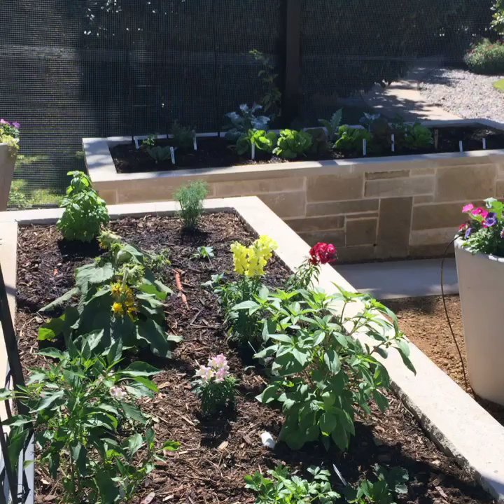 Edible Landscapes Dallas - Tour the Gardens of Glen Abbey - Landscaping Near Me
