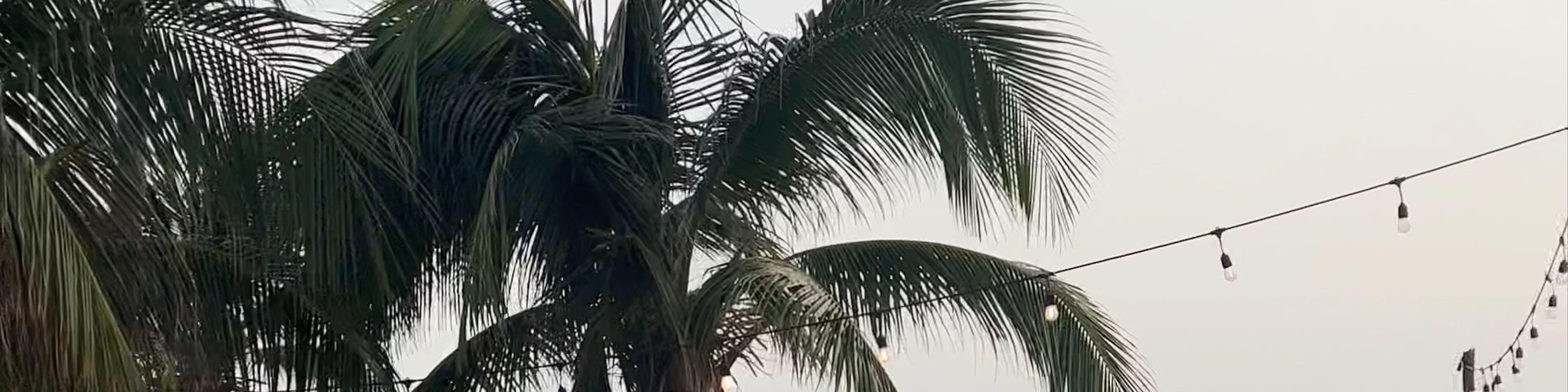 Mayan Beach Club Restaurant & Tequileria