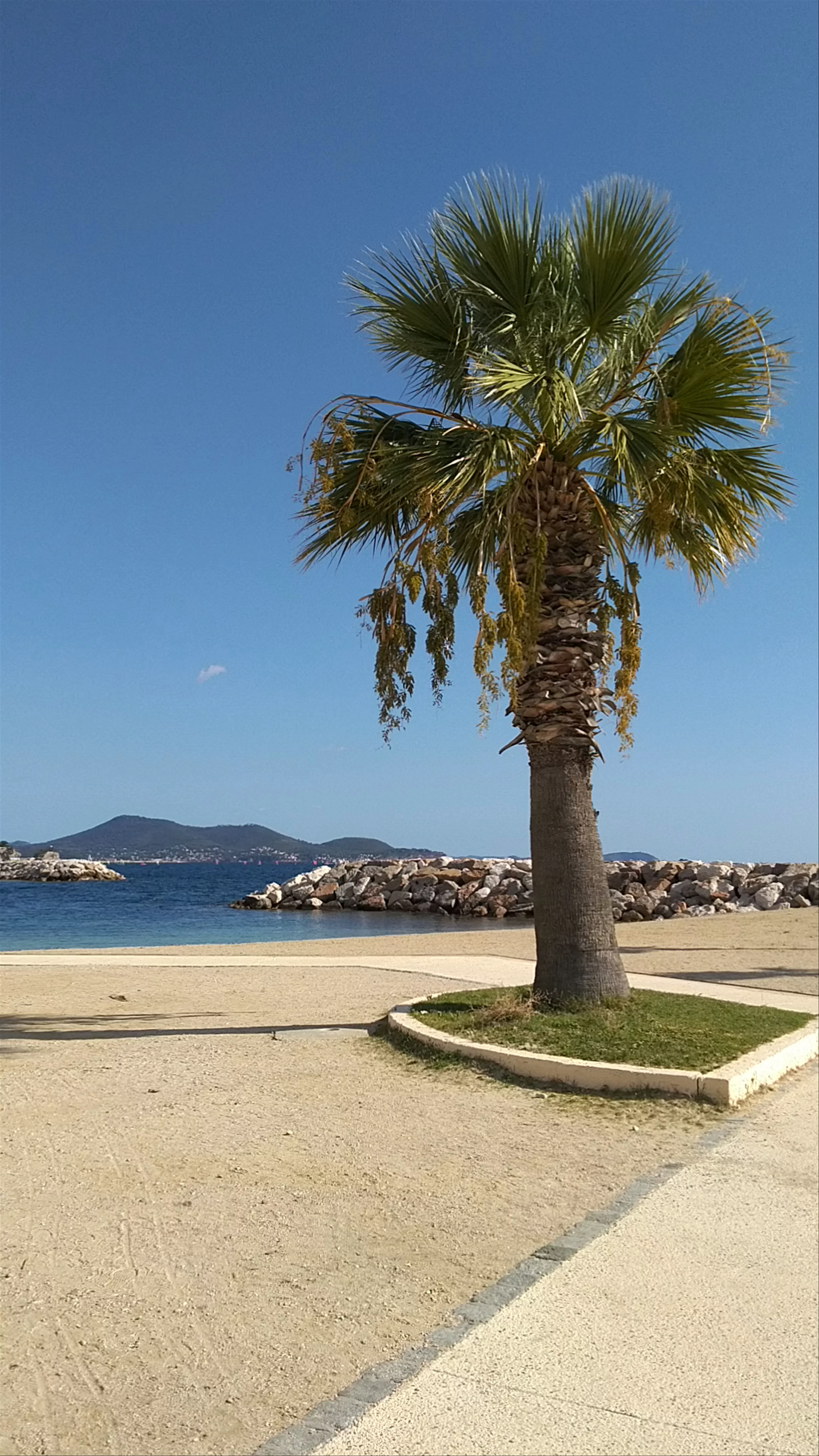 Plage du Mourillon