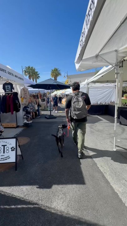 Off Leash K9 Training  - At the farmers market! - Pet Training Near Me - Murrieta, California