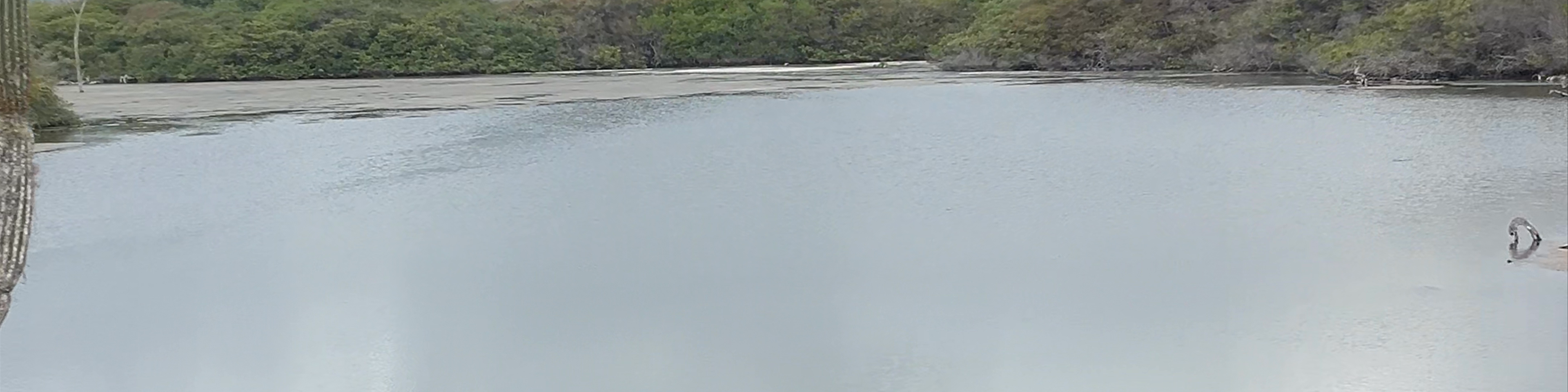 Puerto Villamil