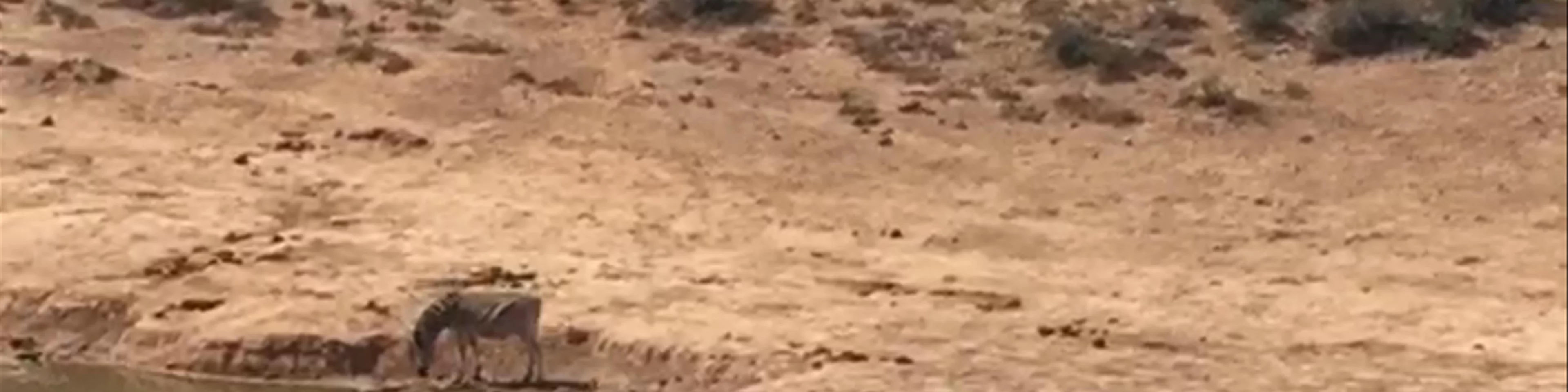 Addo Elephant National Park
