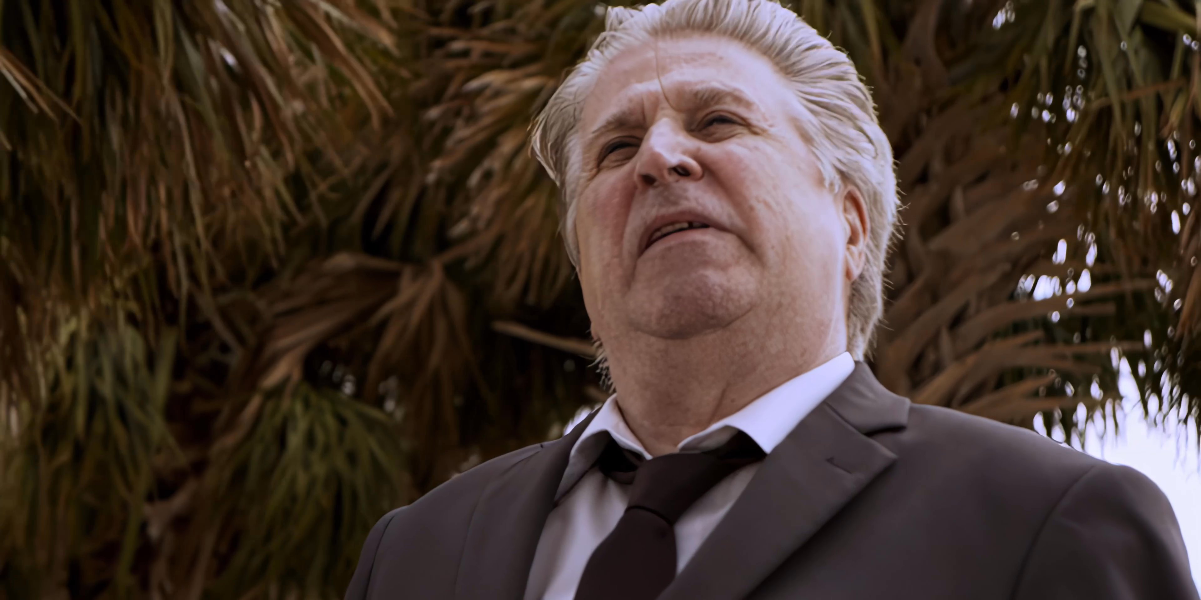 A man in a business suit stands amidst palm trees, looking upward with a contemplative expression. He pauses silently in a windy outdoor setting.