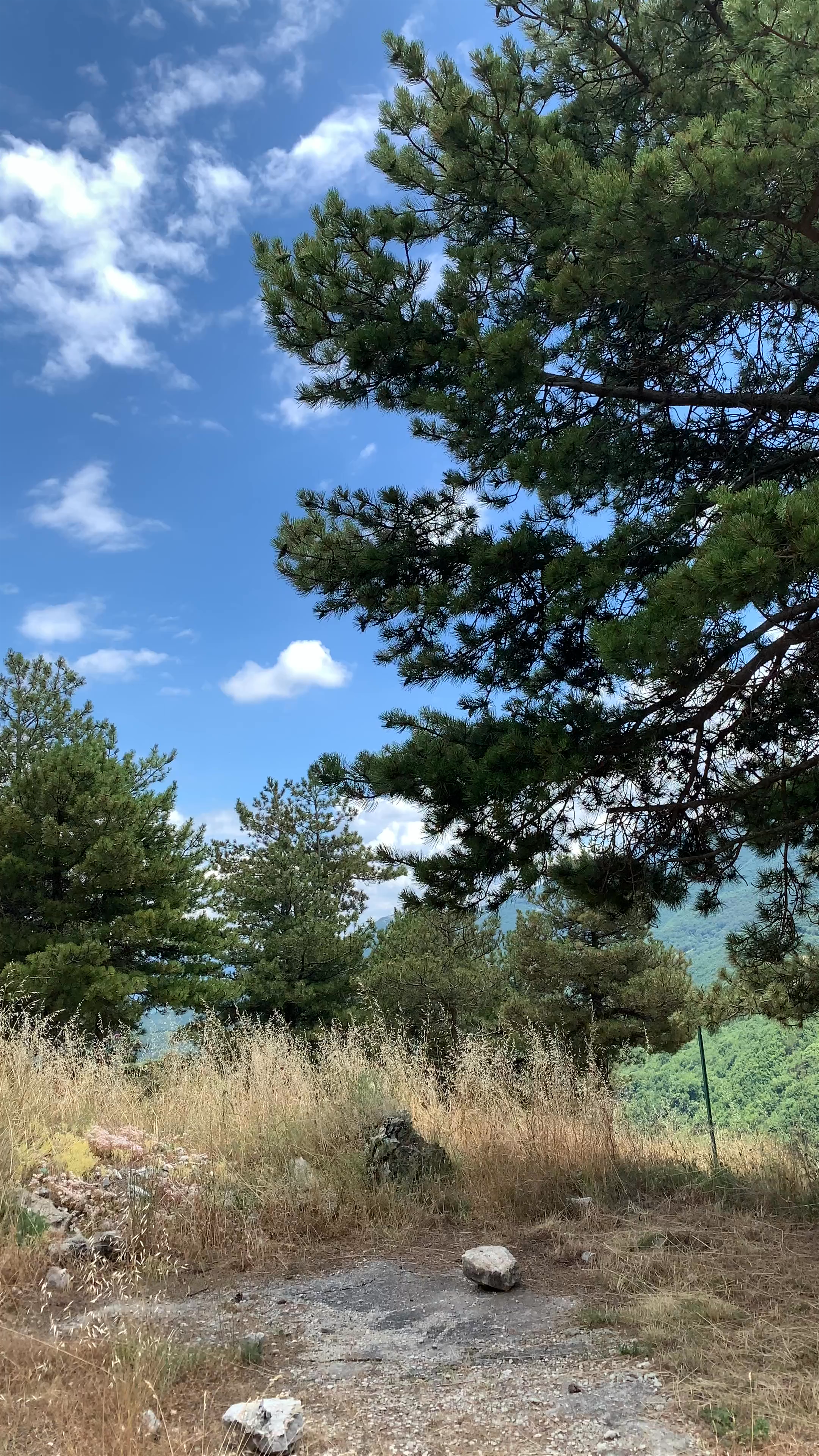 Castello Longobardo-Normanno di Roccamandolfi