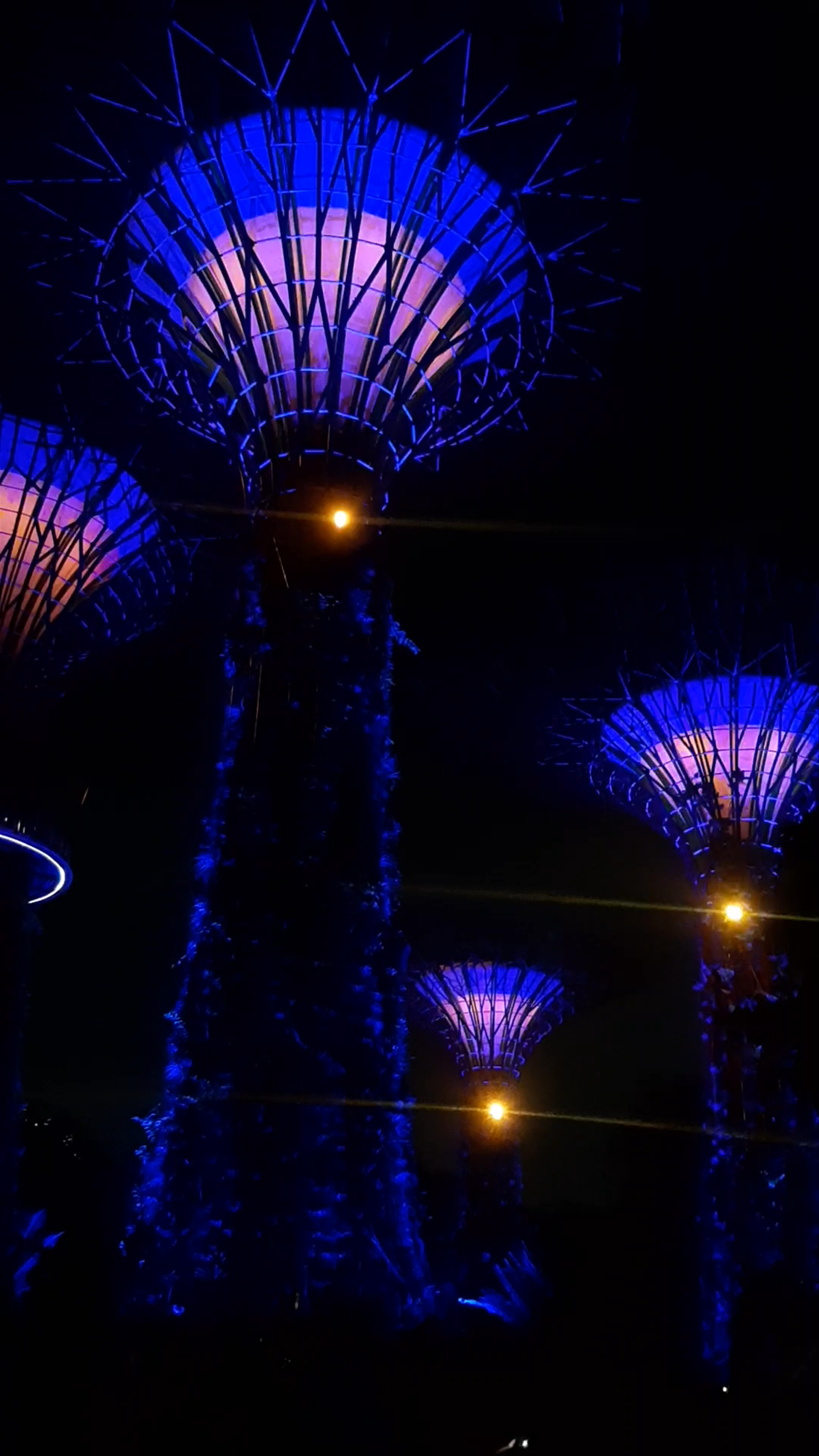 Marina Gardens Drive