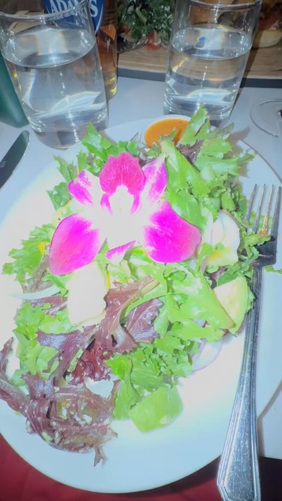 Mojo - Mojos Forest Hills, If you want Latin Flavor great quality food I recommend Mojos Forest Hills, Queens NY will not disappoint. - Latin American Near Me - Forest Hills, New York
