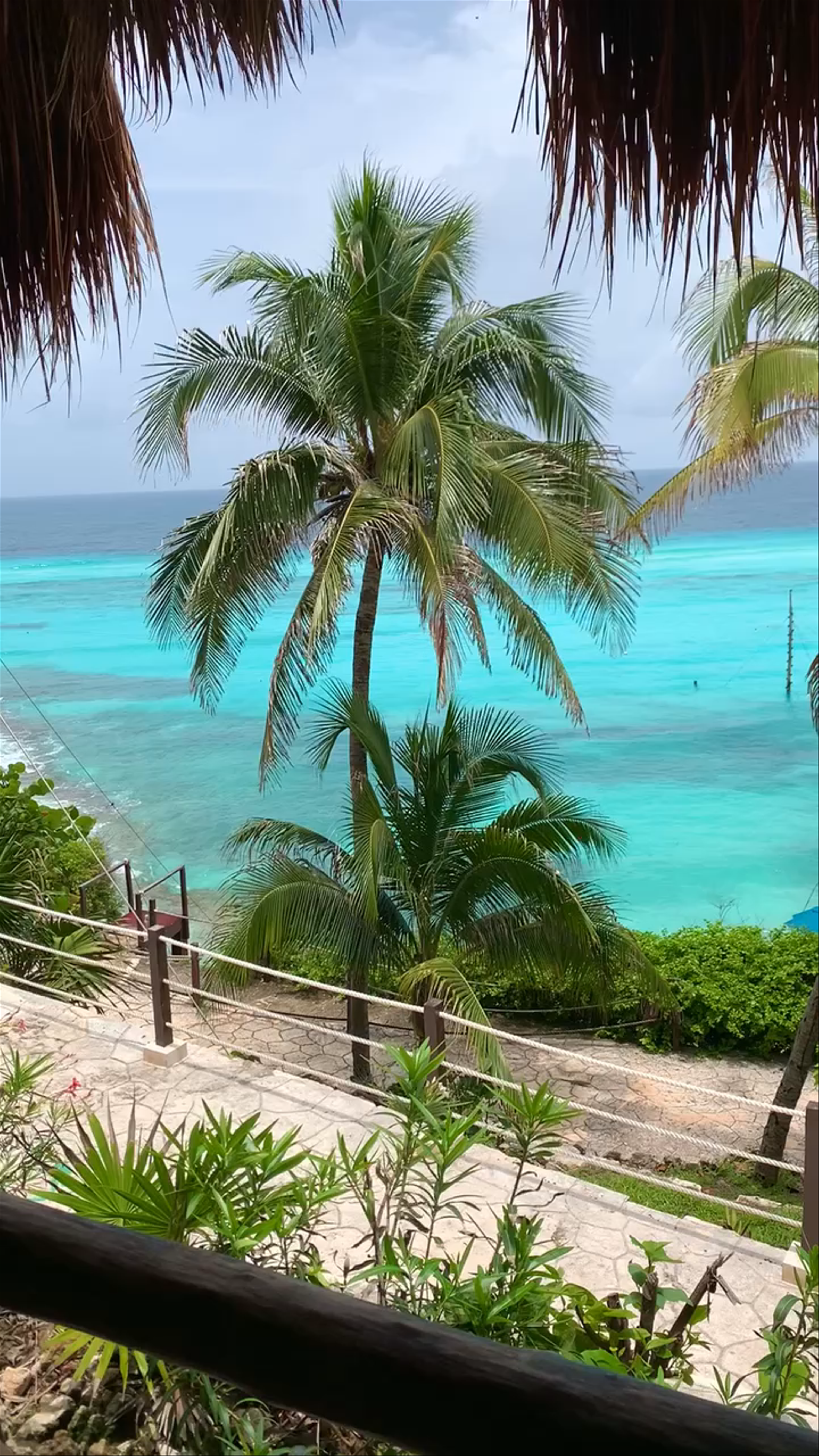 Garrafon Natural Reef Park: Tropical Serenity in Isla Mujeres