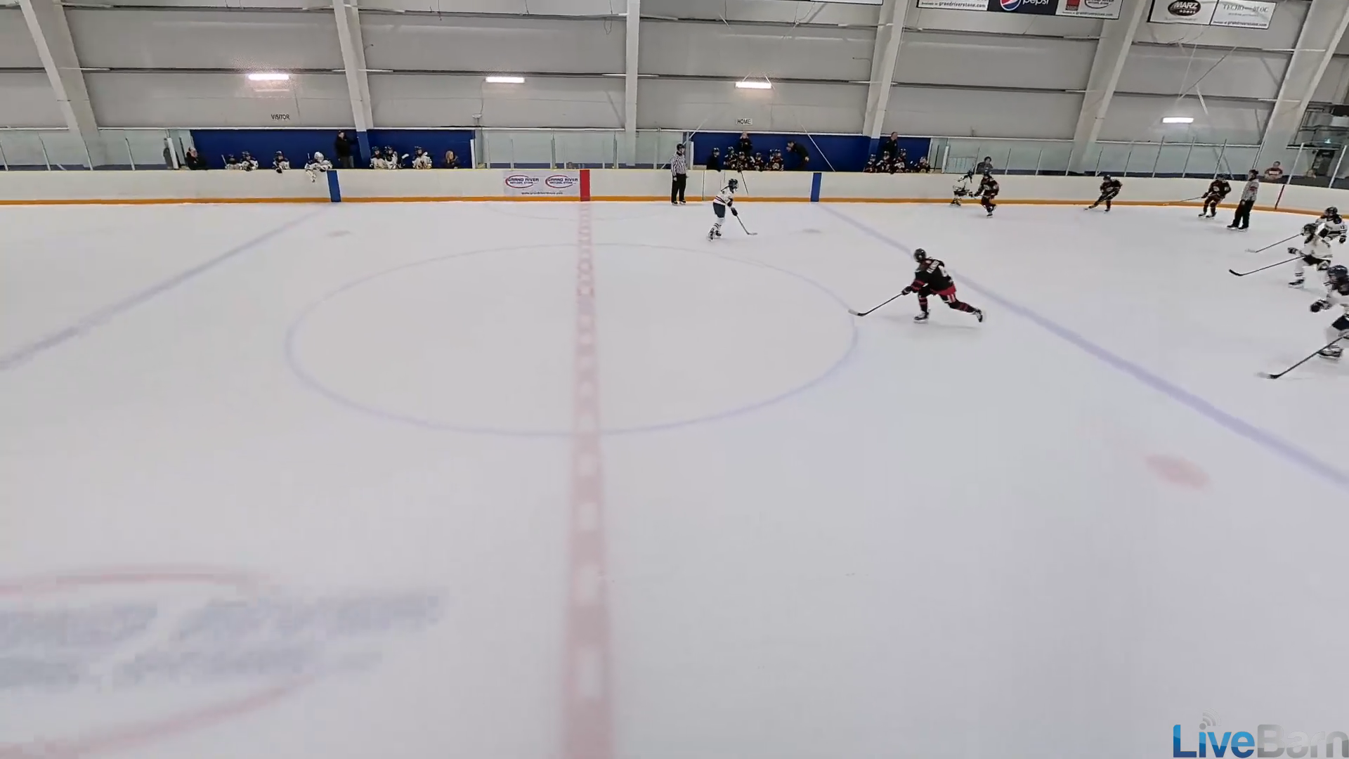 Molly Spalding's Incredible Breakaway Save vs. Windsor Wildcats