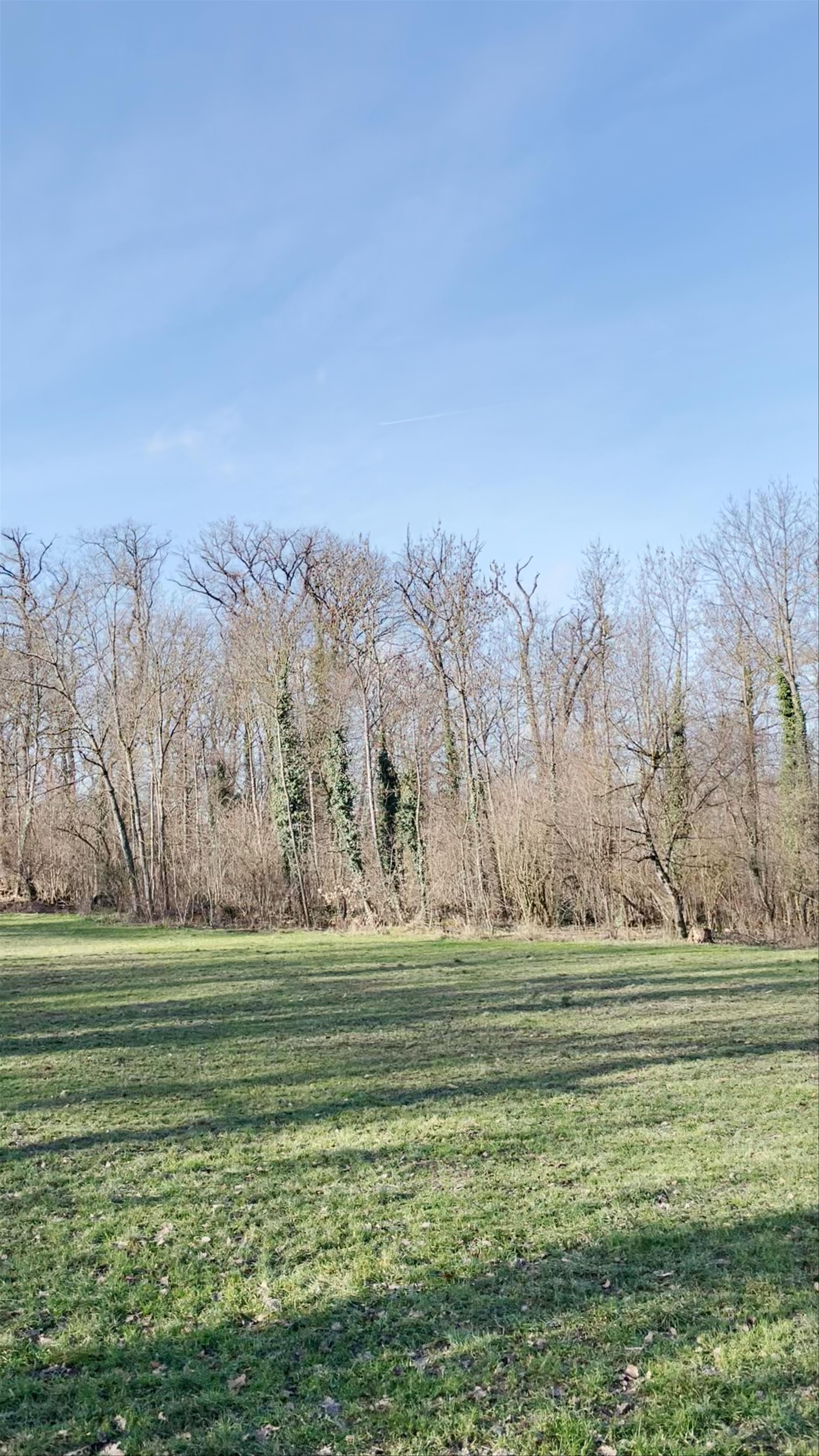 Bois de la Bâtie