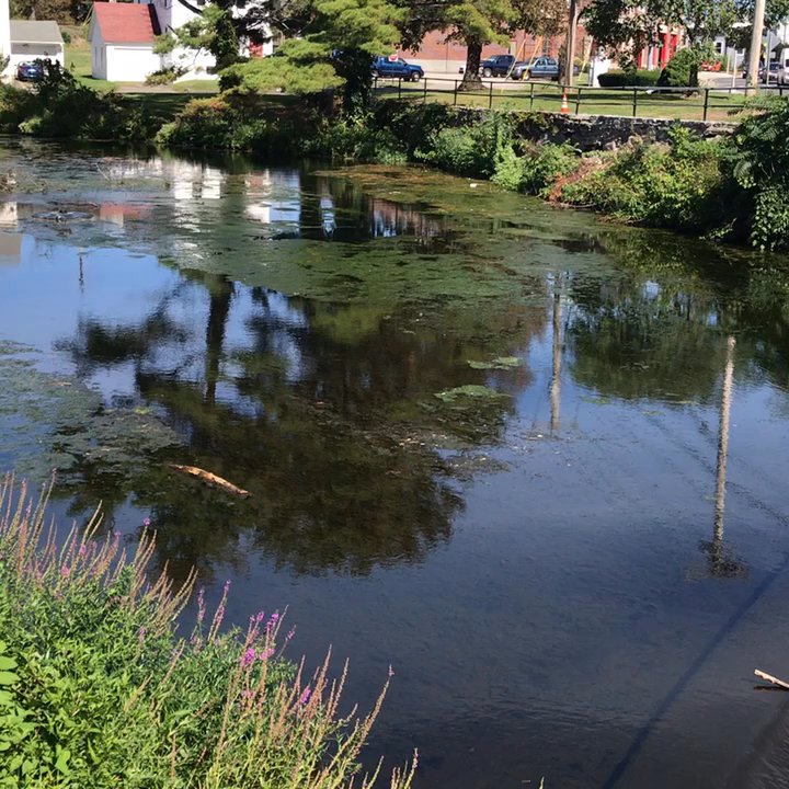 Stonebridge Restaurant - The river goes by the property on its way to Milford Harbor and Long Island Sound - Seafood Near Me - Milford, Connecticut