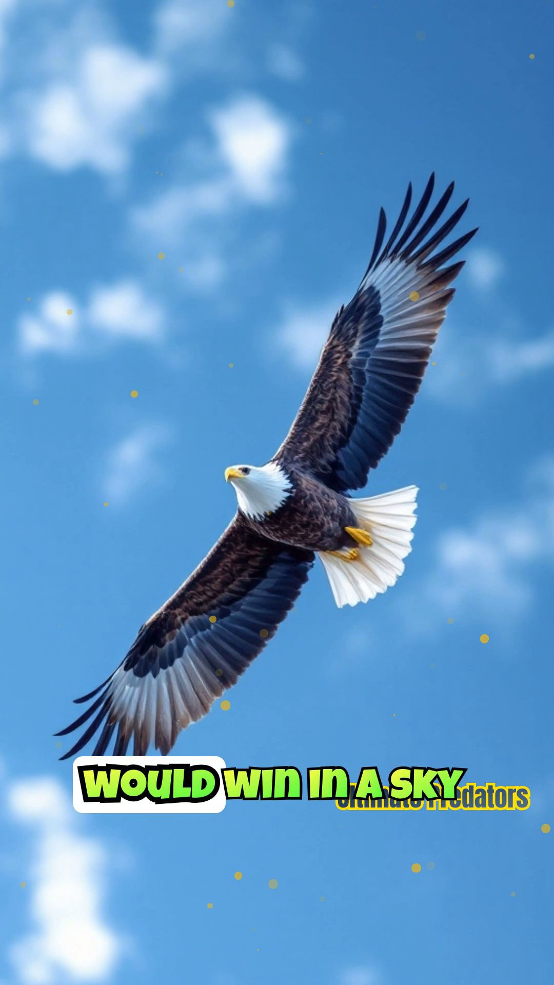 Bald Eagle vs. Canada Goose: Aerial assaults over North America