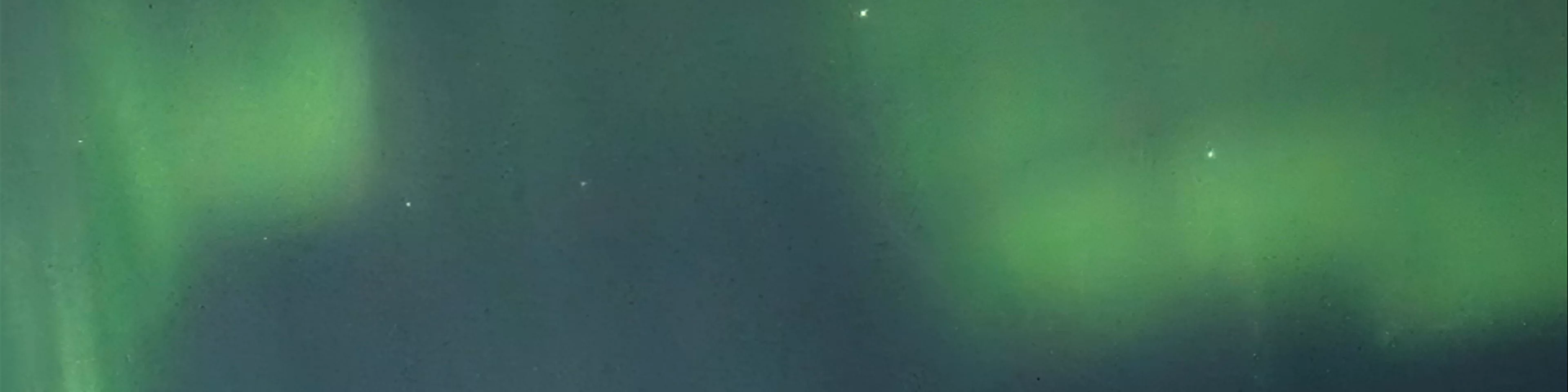 Tungeneset