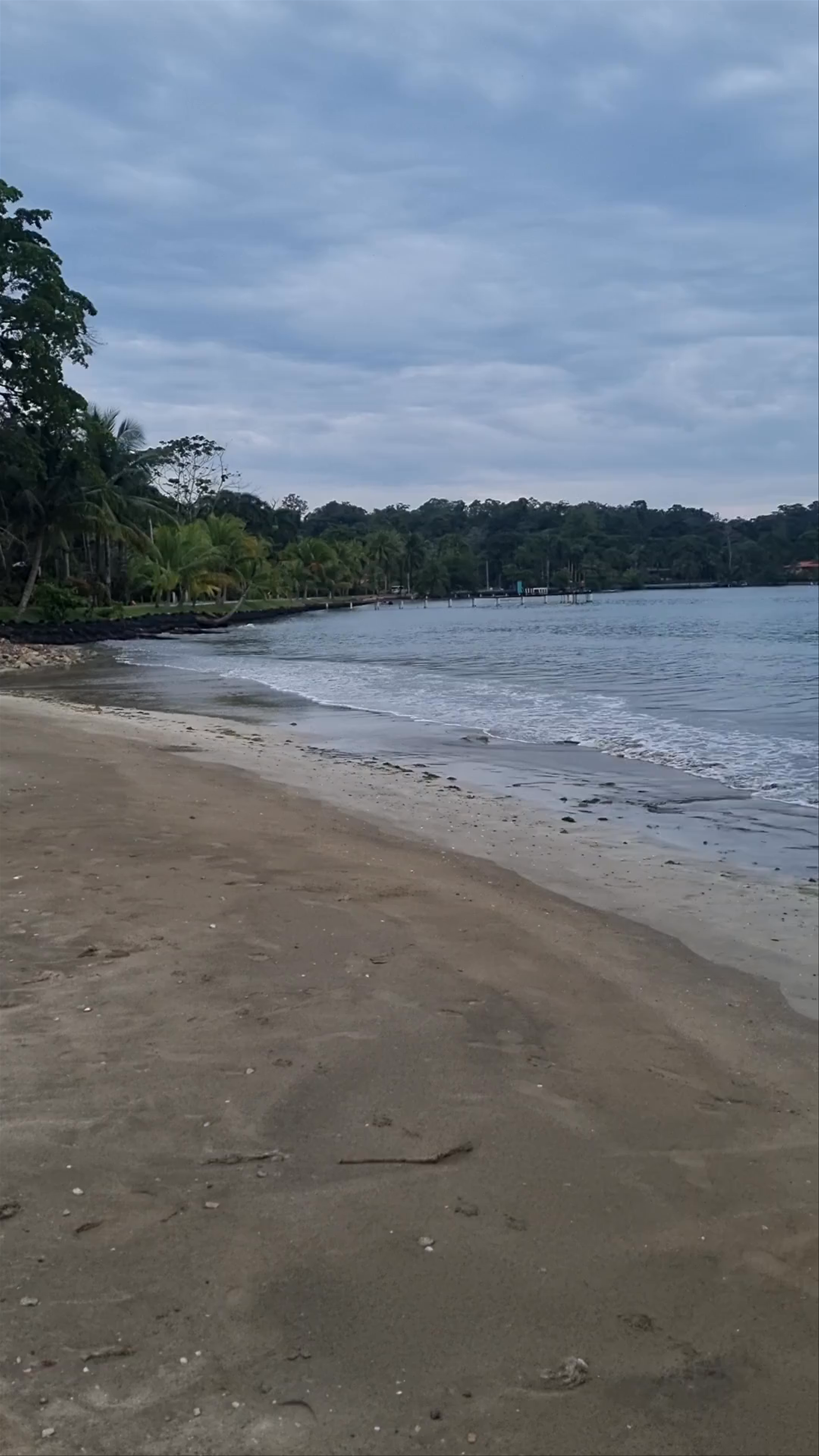 PIPA BEACH BOCAS