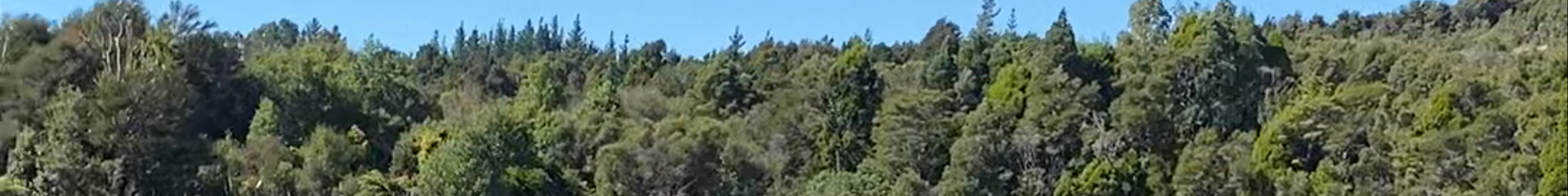 Tours & experiences in Takaka