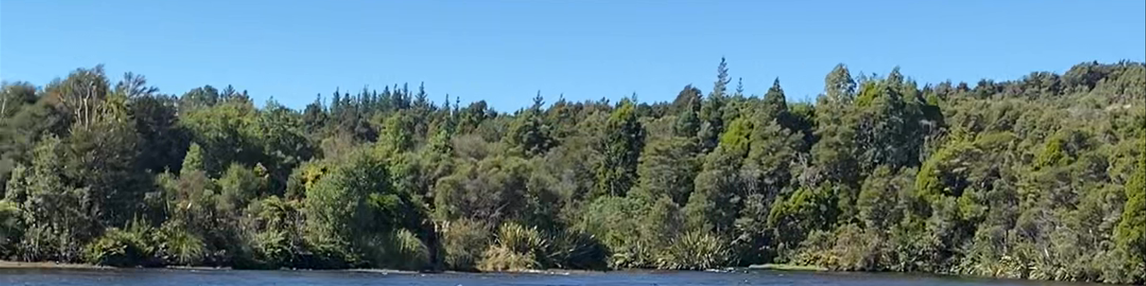 Tasman