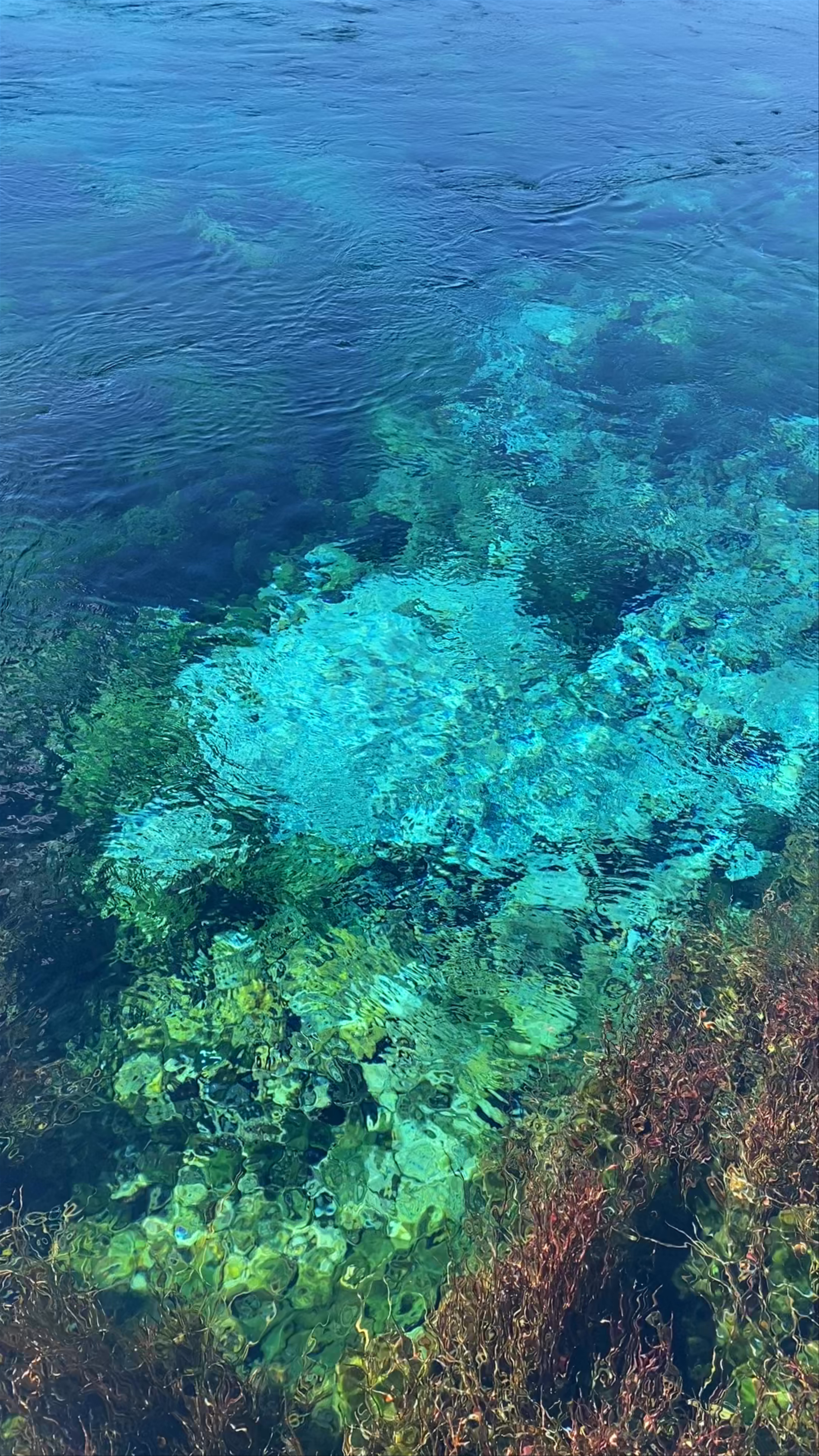 Te Waikoropupu Springs Pupu Springs Road