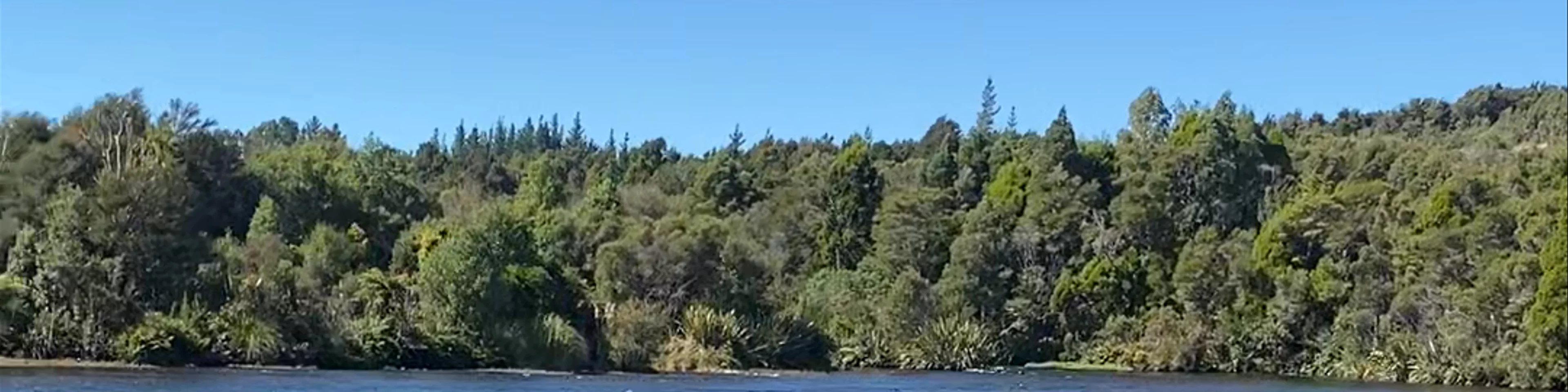 Te Waikoropupu Springs Pupu Springs Road