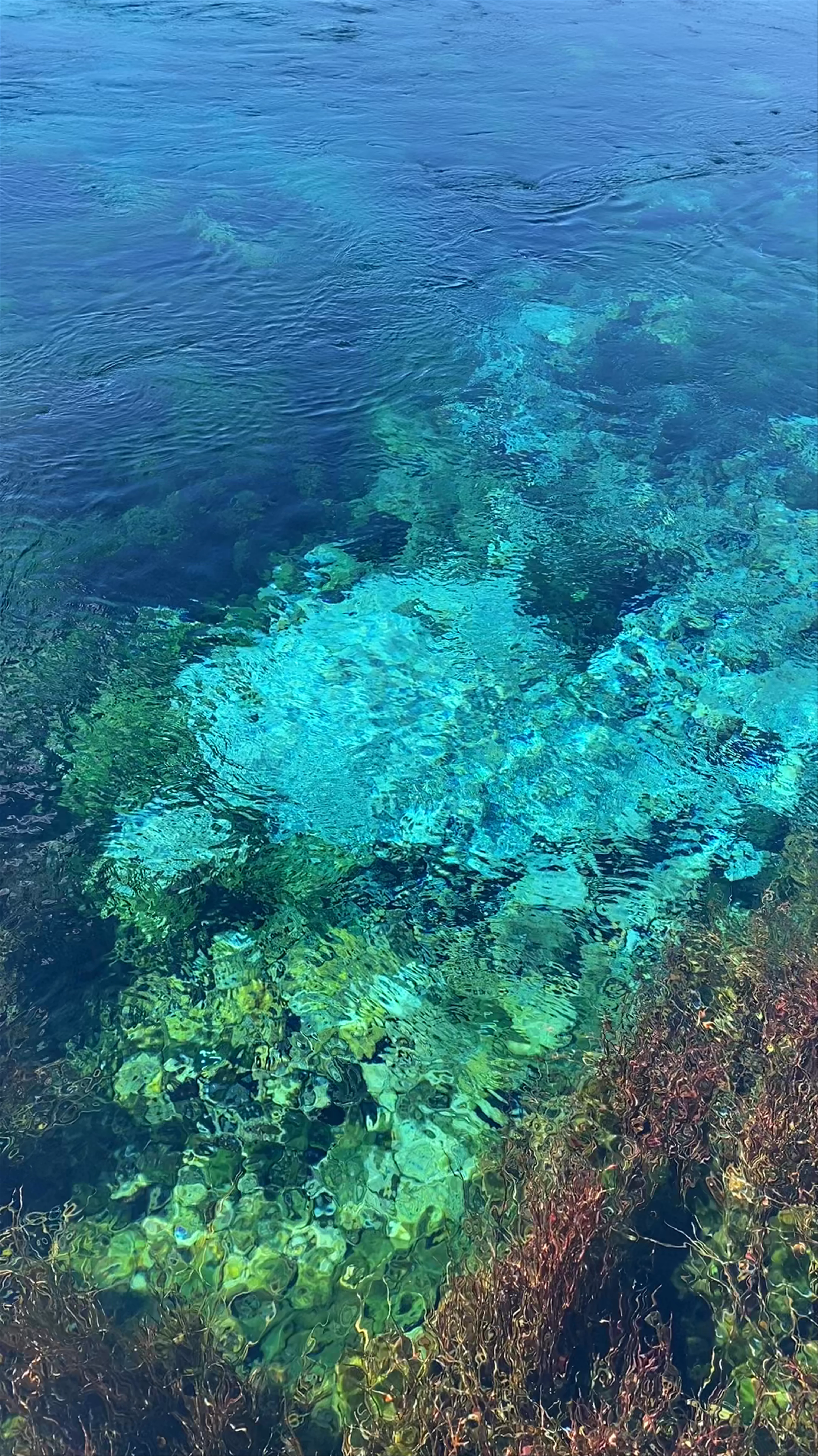 Te Waikoropupu Springs