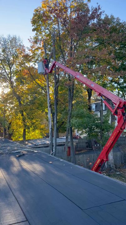 Friendly Tree Service - Friendly tree service has damaged my property and refuses to pay. - Tree Services Near Me
