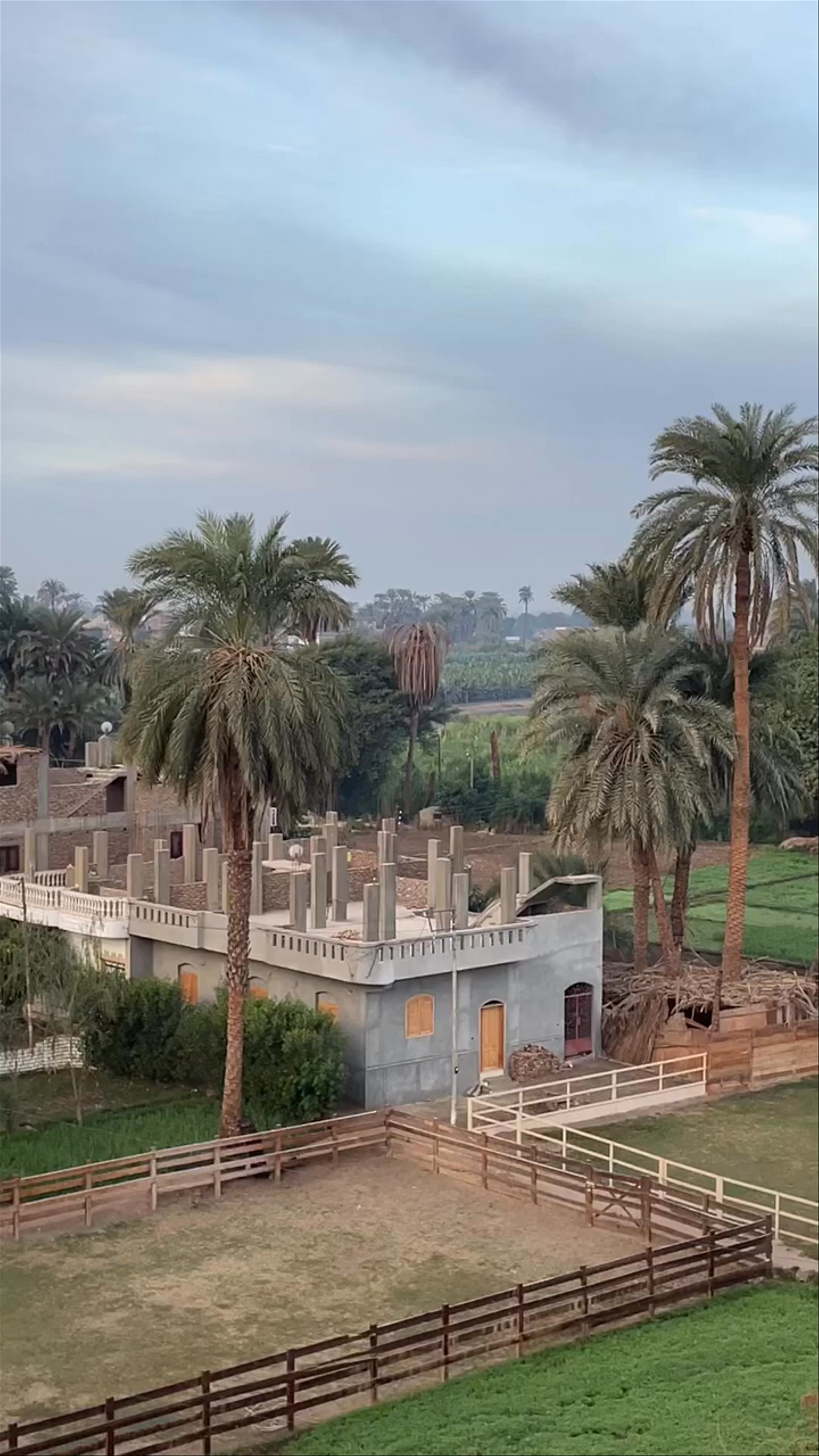 Sunrise Hot Air Balloons Over Luxor’s Green Oasis