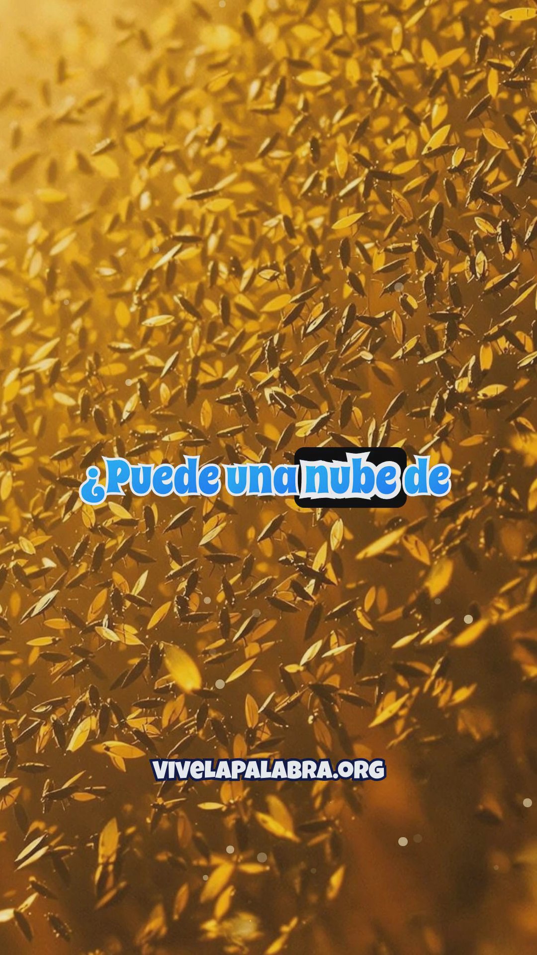 La plaga de langostas en Egipto: Castigo divino