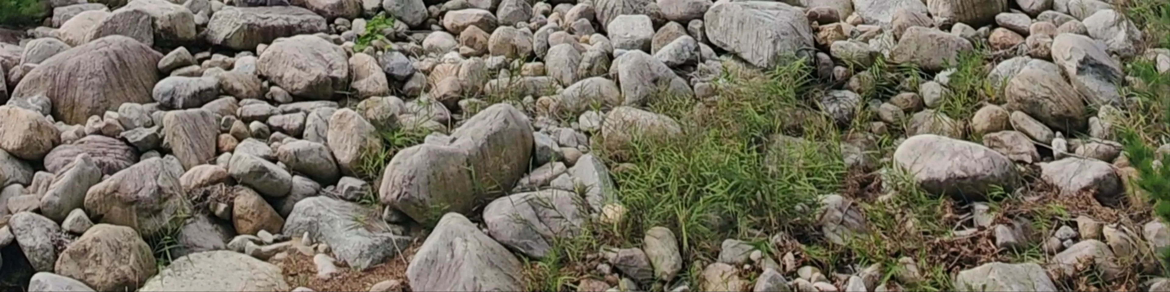 Bilyong-Gyo