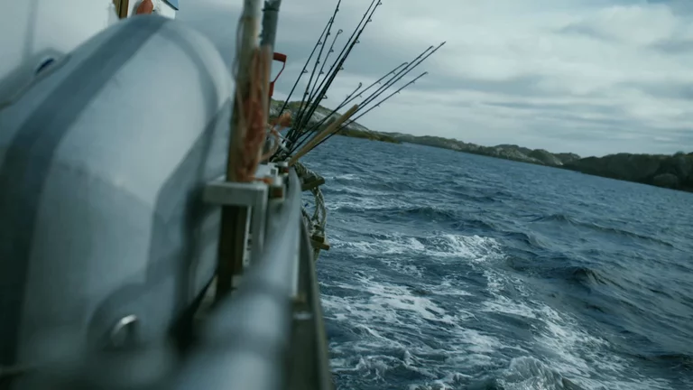Video of wake and fishing poles leaning over the boat