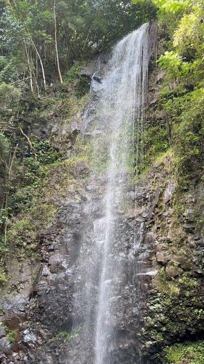 Ali'i Kayaks - The great Uluwehi Falls - Tours Near Me - Kapaa, Hawaii