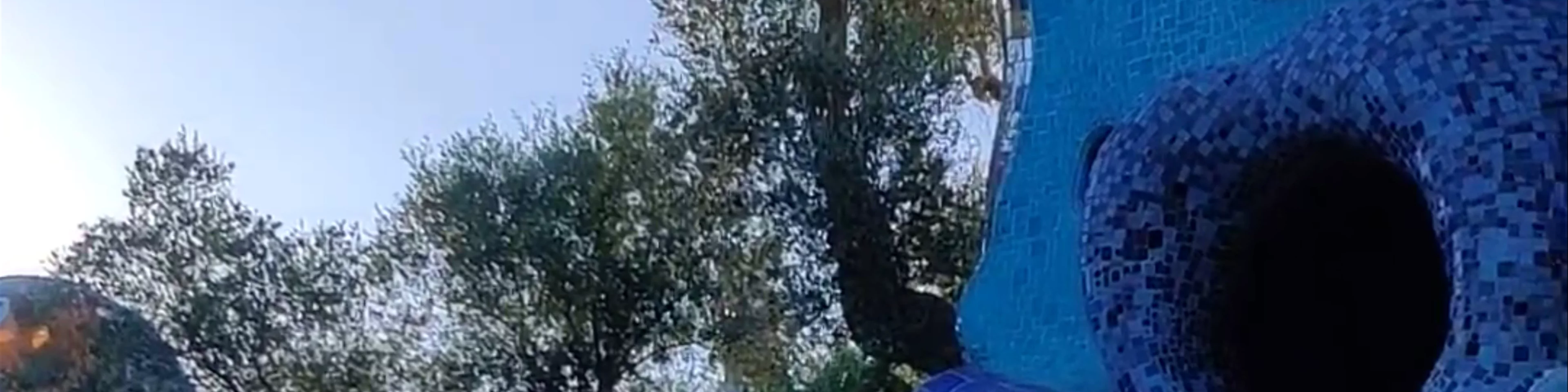 Giardino Dei Tarocchi