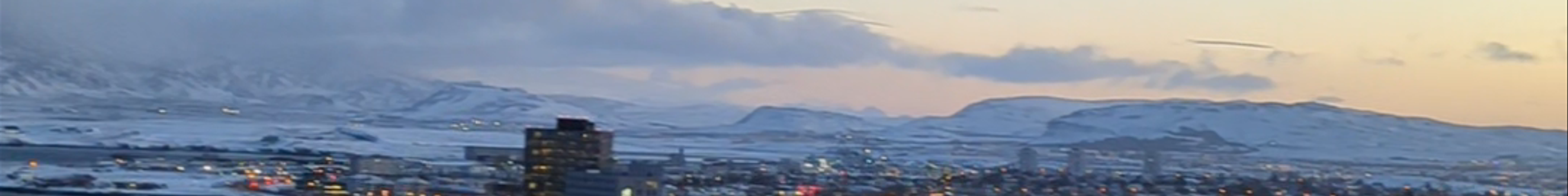 Tours & experiences in Höfuðborgarsvæði
