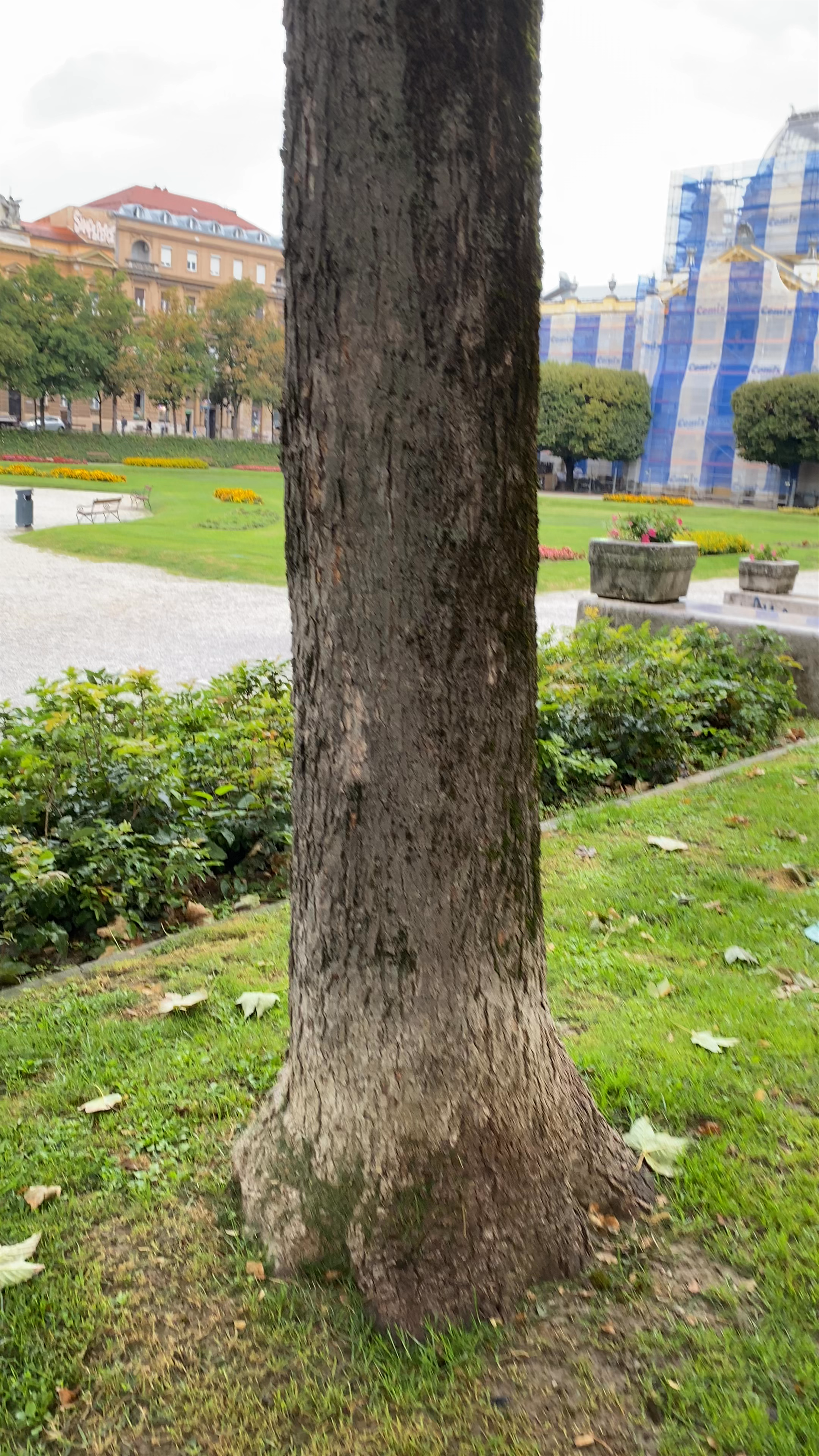 Park Zrinjevac