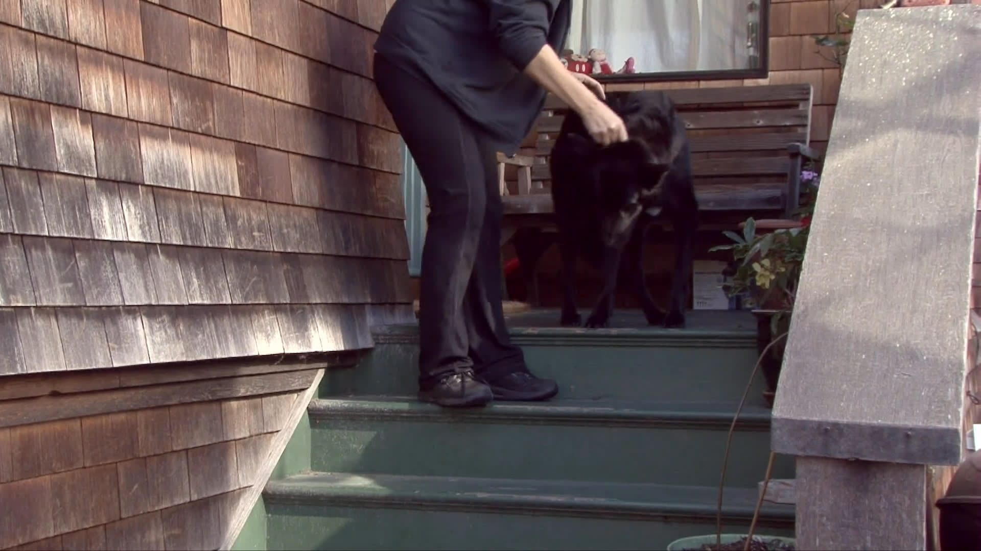 An individual gently guides a black dog through a residential doorway and down exterior stairs. The session concludes with the pair interacting calmly in an interior space.