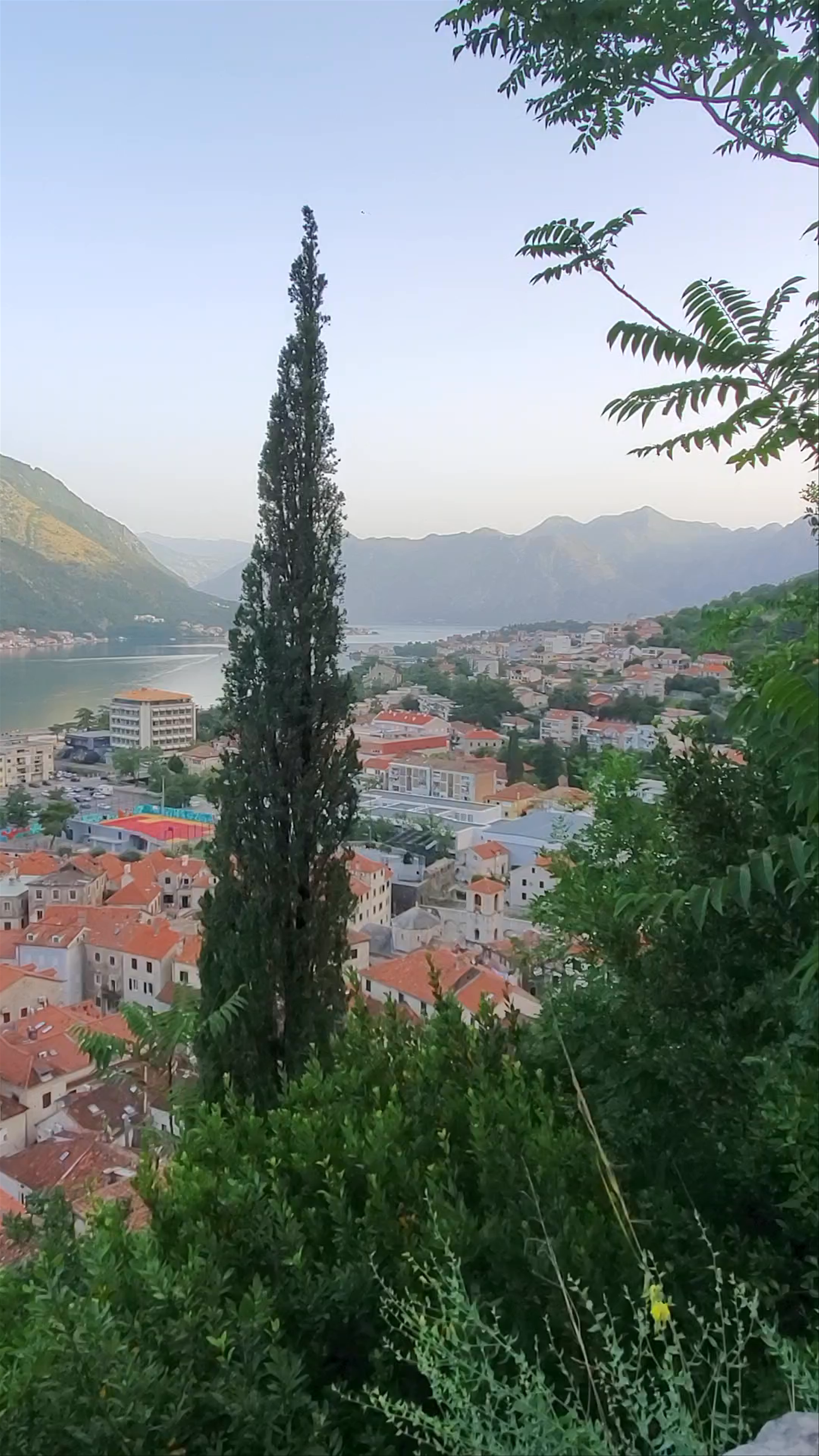 Kotor Fortress
