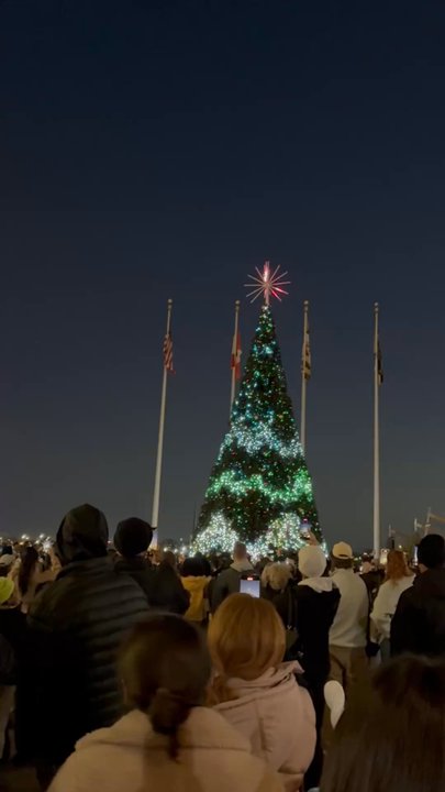 Harbor East - Tree lighting - Property Management Near Me - Baltimore, Maryland