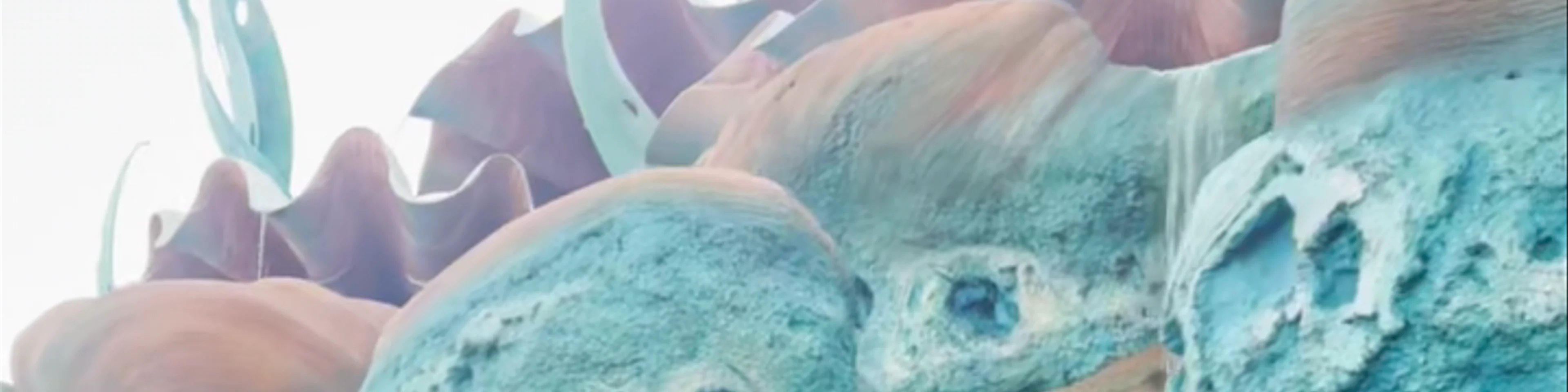 Mermaid Lagoon