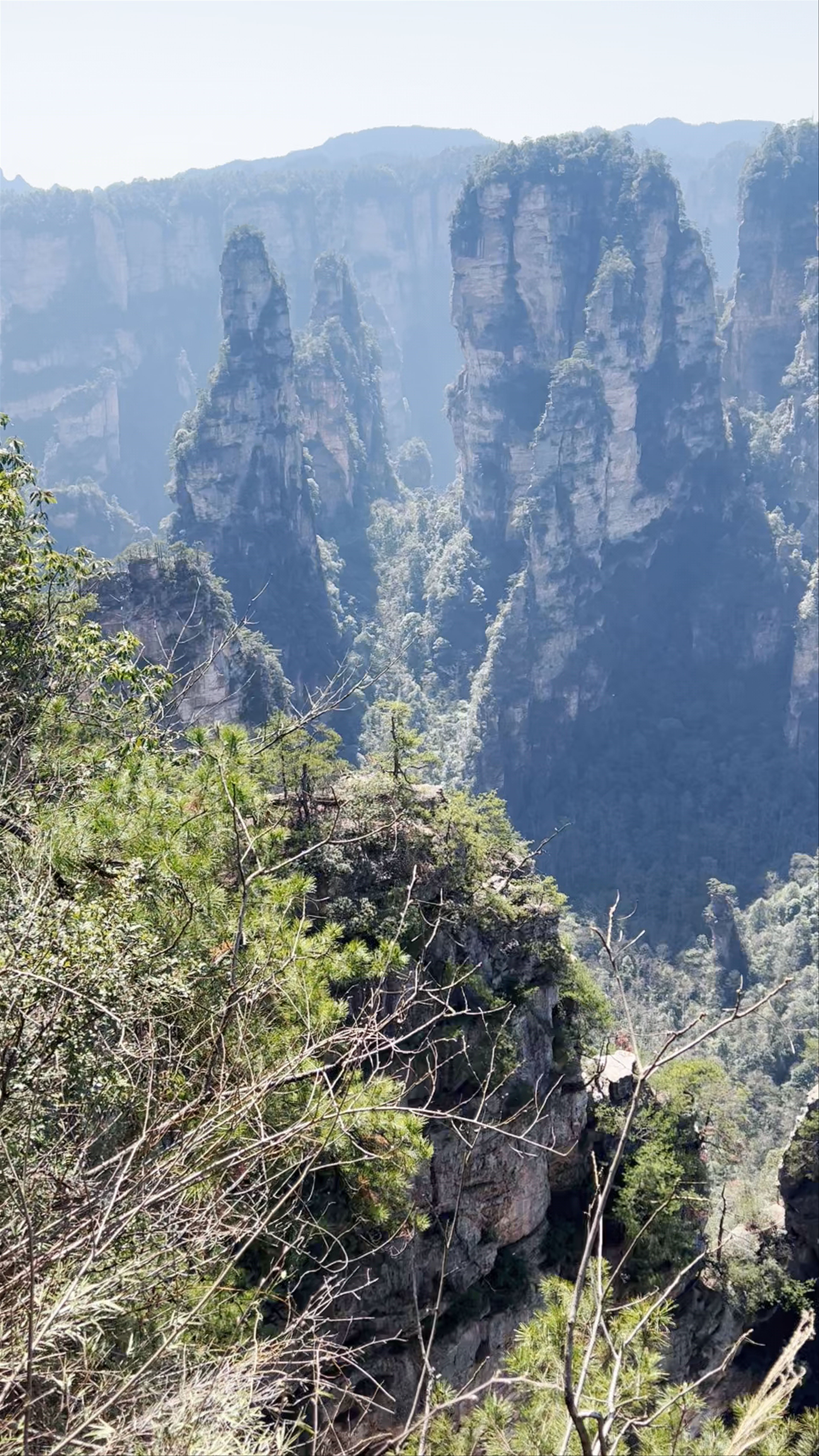 Wulingyuan Scenic Area