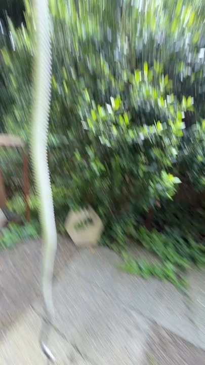 jjj tree services - Tree Services Near Me - Newport, Oregon